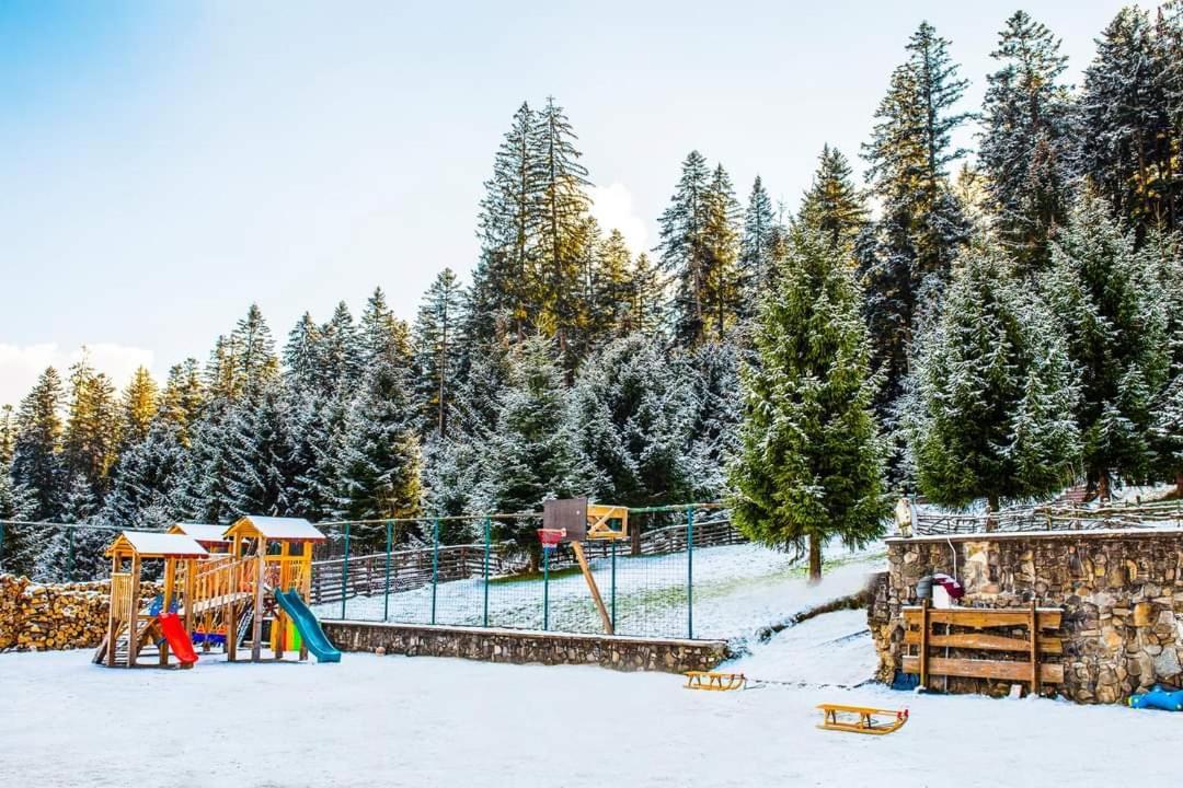 Hotel Floare De Colt Mînăstirea Humorului Exterior foto