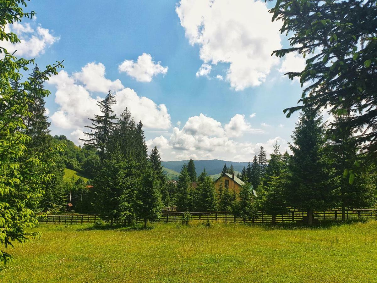 Hotel Floare De Colt Mînăstirea Humorului Exterior foto